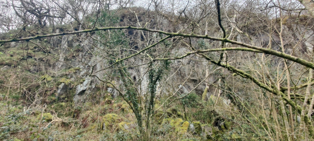 Quarried face, submitted by ilt on 27-03-2026.
© Iain Taylor Quarried face